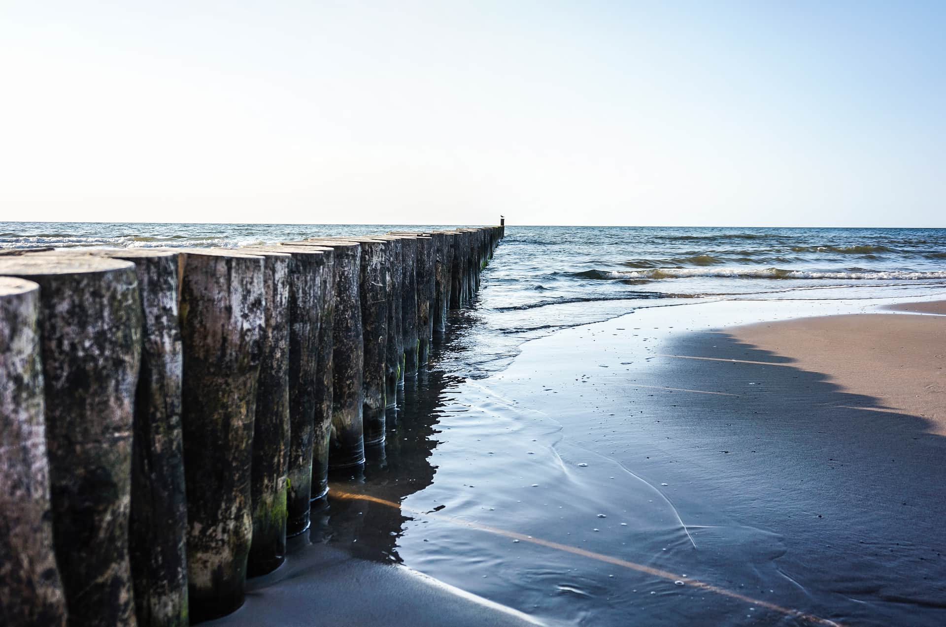 Drewniane ostrogi brzegowe na piaszczystej plaży nad Bałtykiem o poranku